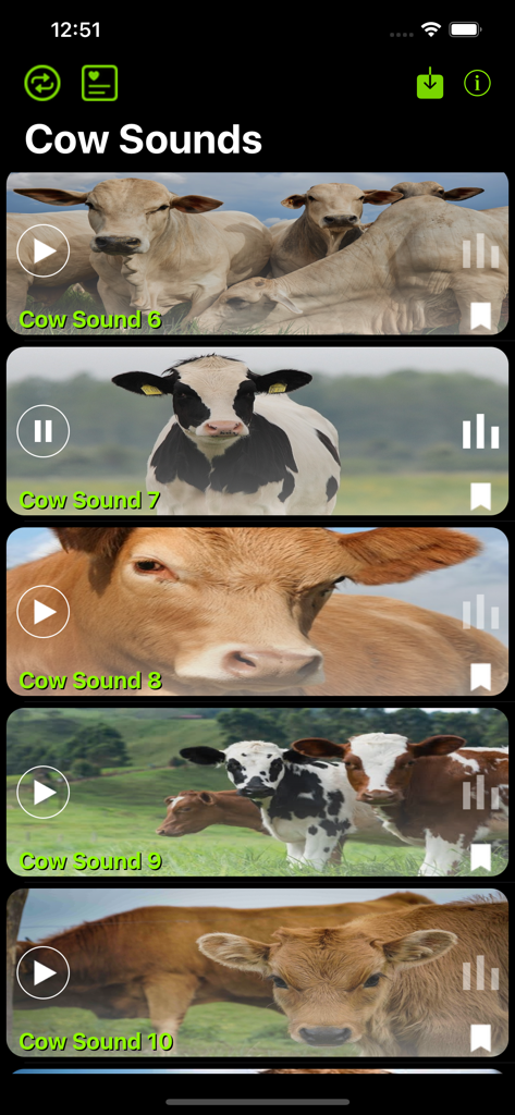 Cow Sounds App - The user interface of the Cow Sounds app showing a list of various cow breeds with audio play buttons