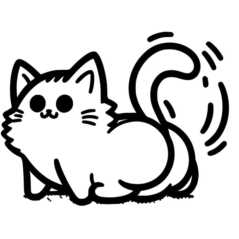 cat with but in air