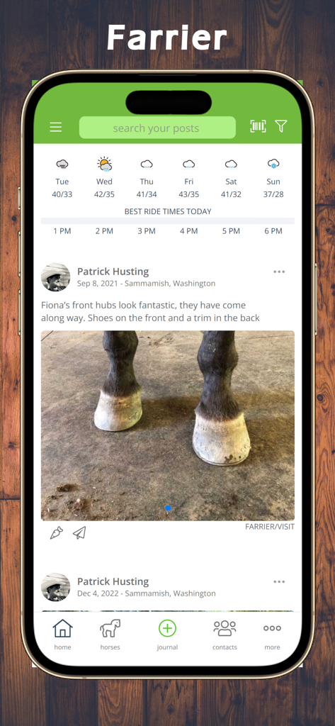 Equestrian App - Screenshot of the Equestrian App showing a horse farrier visit record and weather forecast