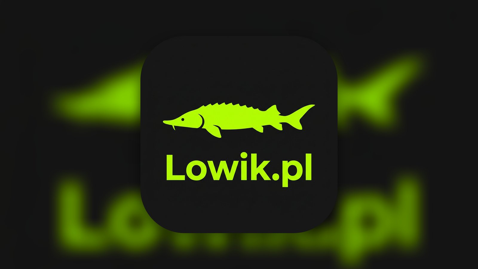Łowik.pl - Sports App | MWM