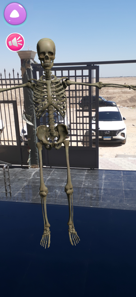A 3D human skeleton model standing on a porch in augmented reality