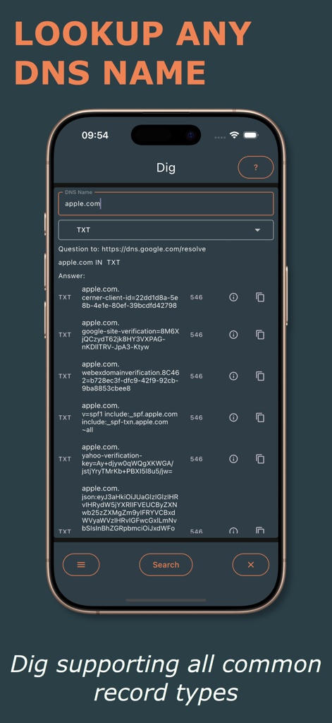 DNS Toolkit - DNS Toolkit app showing the Dig command interface for performing DNS lookups on a mobile device