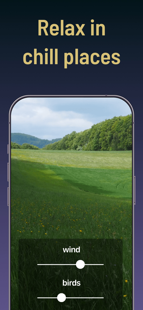 Interfaz de la aplicación ASMR DJ que muestra una escena de naturaleza con controles deslizantes de sonido de viento y pájaros