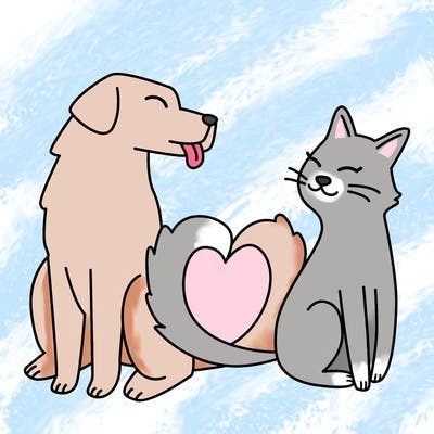animals_22