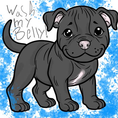 cute pitbull