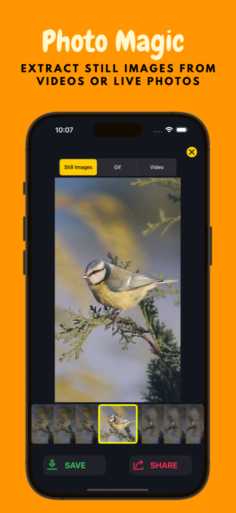 Live Photo Convert - Un smartphone mostrando la interfaz de la aplicación Live Photo Convert para extraer una imagen fija de un pájaro de un vídeo o foto en vivo.