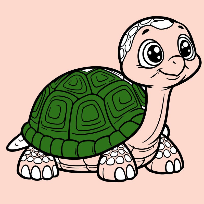 tortoise