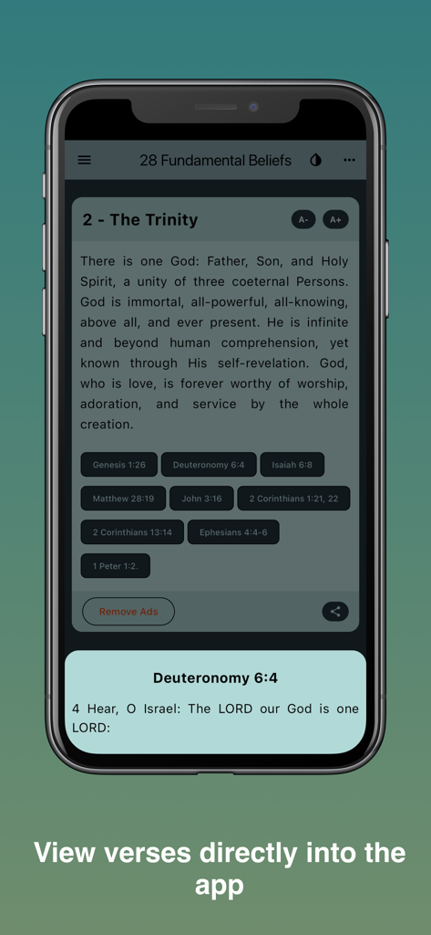 The 28 fundamental beliefs SDA - Interface of the 28 Fundamental Beliefs SDA app showing a doctrine and an integrated Bible verse reference