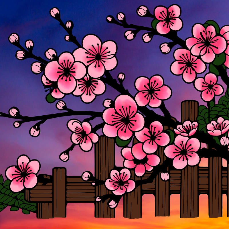 japan cherry blossom