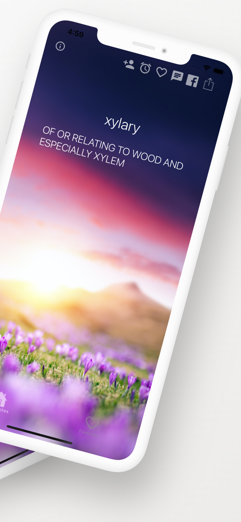 Word of the Day ‎ - Tela do aplicativo Palavra do Dia mostrando a definição de 'xylary' com um fundo de paisagem