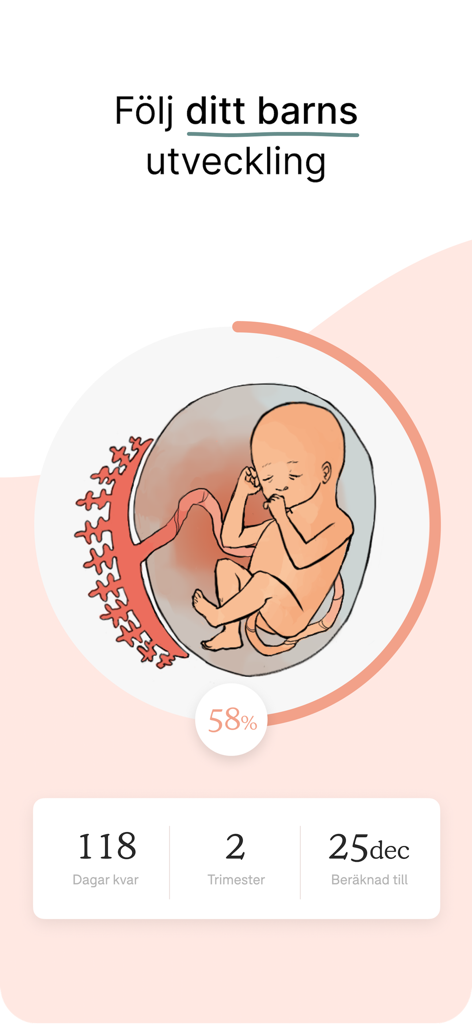 One Million Babies - Gravidapp - Capture d'écran de l'application One Million Babies montrant une illustration du développement fœtal et des métriques de progression de la grossesse, y compris les jours restants et le trimestre.