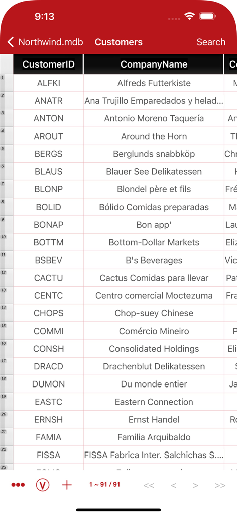 Mobile app interface showing customer database records from a Microsoft Access MDB file