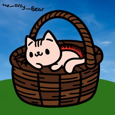 cat in a basket