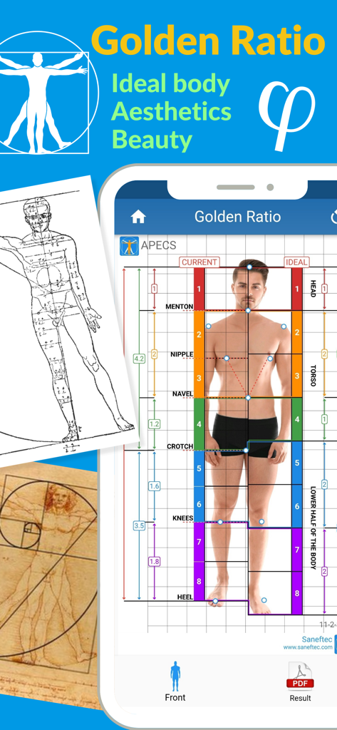 APECS app screen showing the Golden Ratio body aesthetics and proportion assessment