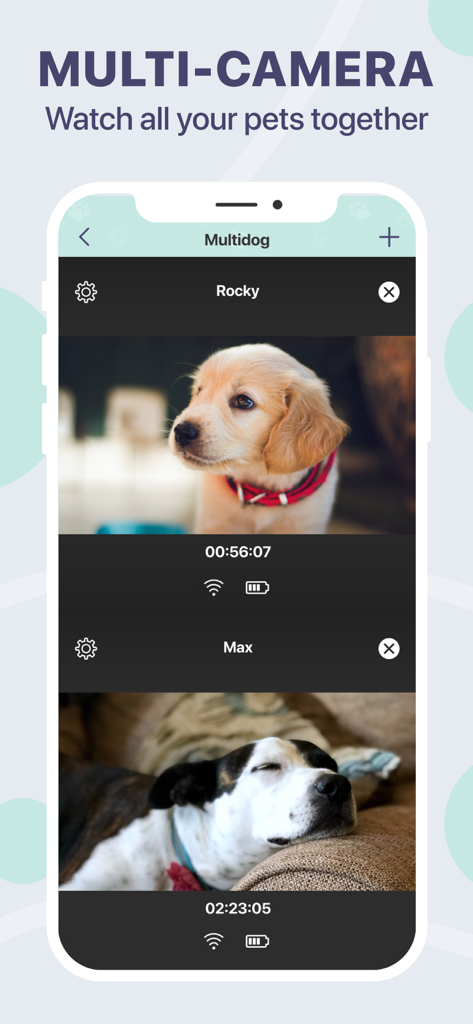 Dog Monitor Buddy & Pet cam - Pantalla de iPhone que muestra la función multicámara de la aplicación Dog Monitor con dos perros siendo monitoreados simultáneamente.