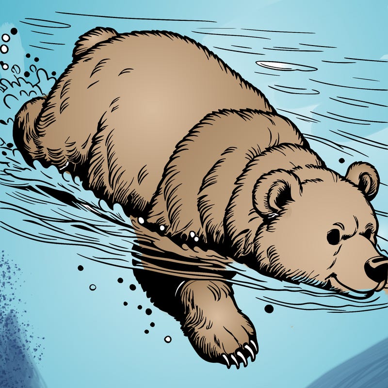 realistic bear swimming