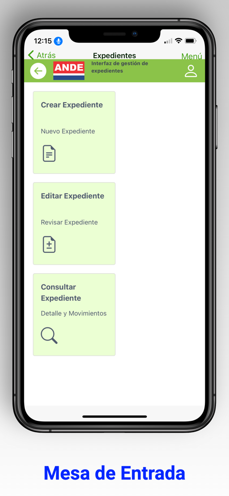 Mi ANDE - Mi ANDE app screen for managing files and administrative requests