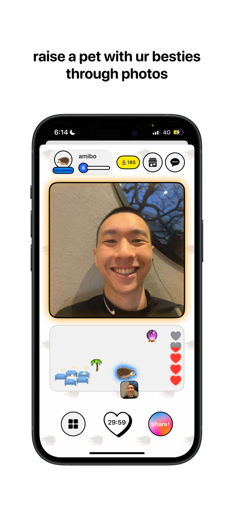 PicPet - A screenshot of the PicPet app showing a virtual pet hedgehog and a shared photo used to feed it
