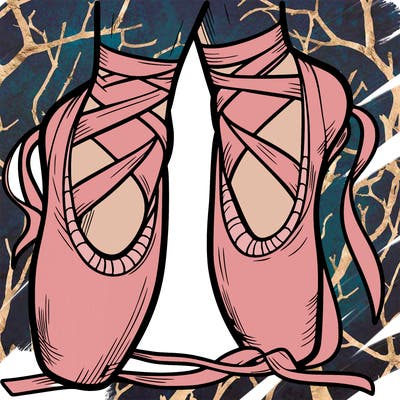 ballet shoes