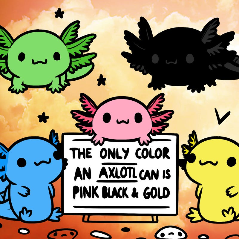 three  axolotl’s and a sign that says the only color an axolotl can be is pink black and gold  super cute animated
