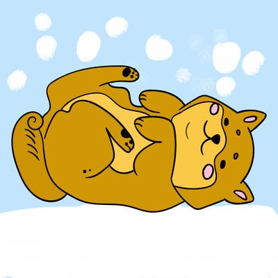 animals_30
