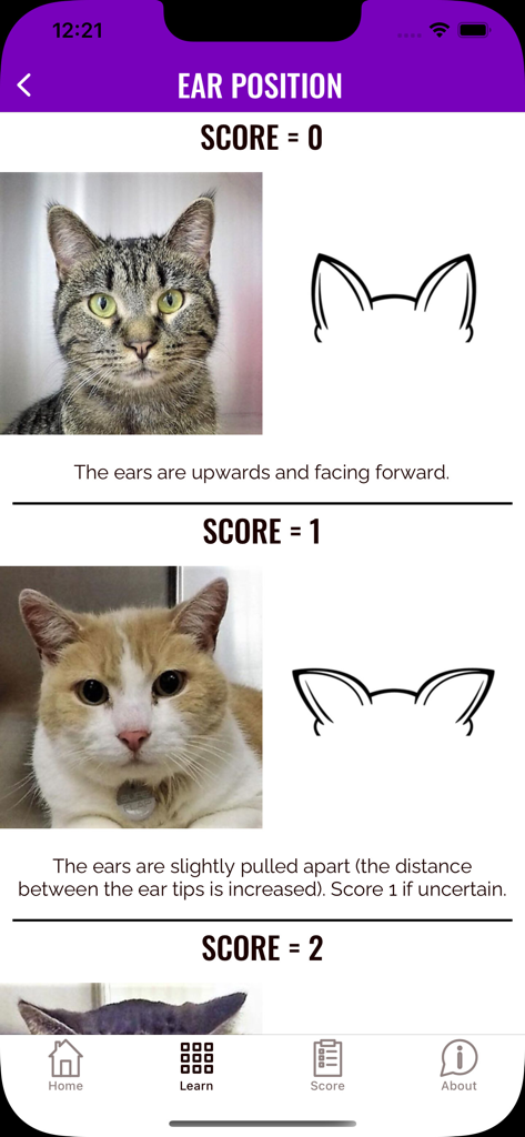 Feline Grimace Scale - App screen explaining cat ear positions for pain assessment with scores and visual examples