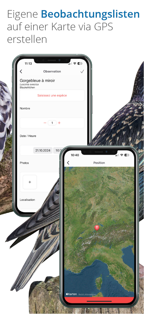 Interface pour enregistrer les observations d'oiseaux et visualiser leurs emplacements sur une carte GPS