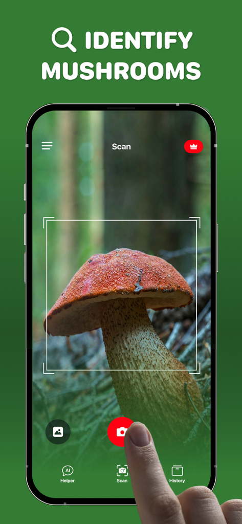 Mushroom ID・Picture Identifier - A smartphone interface showing the Mushroom ID app identifying a wild mushroom in a forest