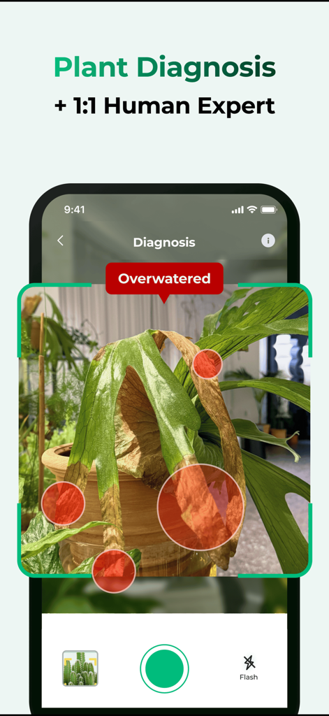 Plant Care: Plantingo - Interfaz de la aplicación móvil para el diagnóstico de plantas que muestra la identificación de una planta regada en exceso.