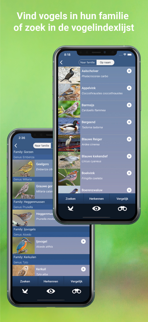 Due schermate mobili che mostrano l'indice degli uccelli dell'app Vogelzang Id Nederland per nome e famiglia con foto e nomi scientifici.