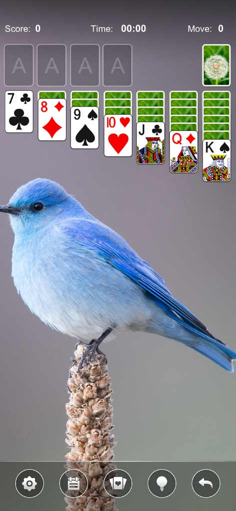 Solitaire Card Game by Mint - Gameplay classico di Solitario con una bellissima immagine di sfondo di un uccello blu