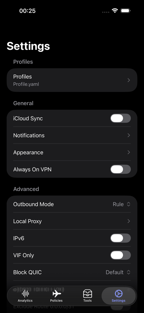Egern - Egernネットワークツールの設定画面。プロファイル構成と高度なネットワークルーティングオプションを表示。