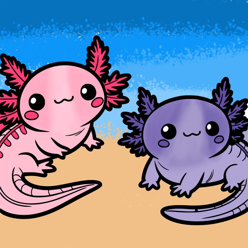 cute axolotls