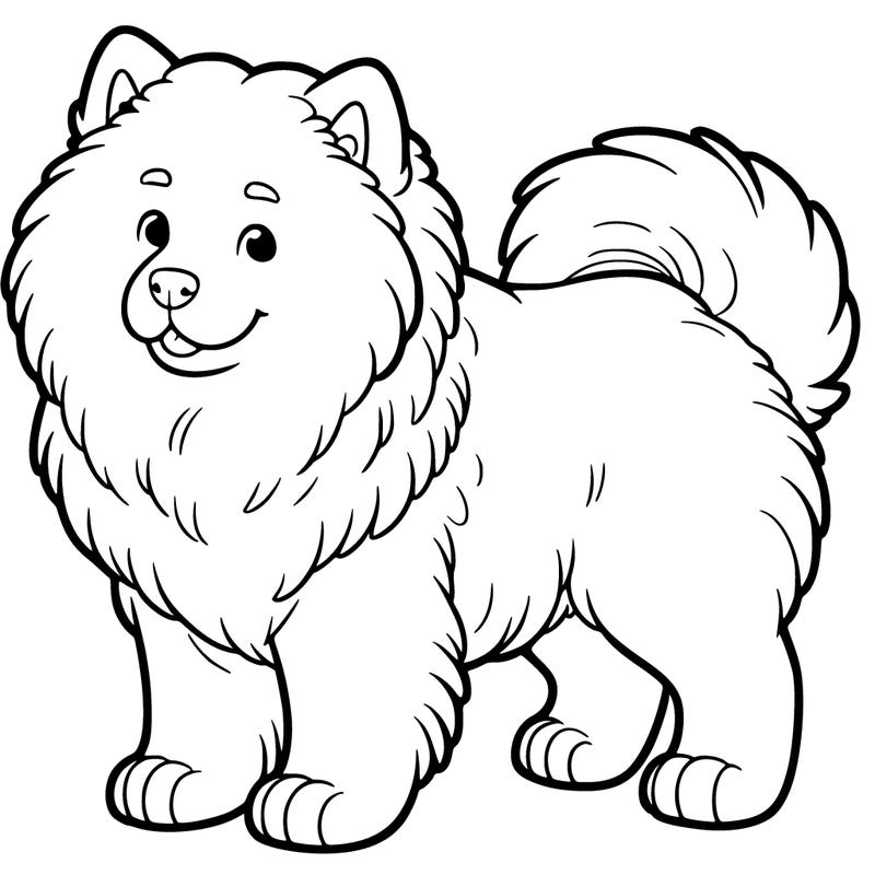 samoyed