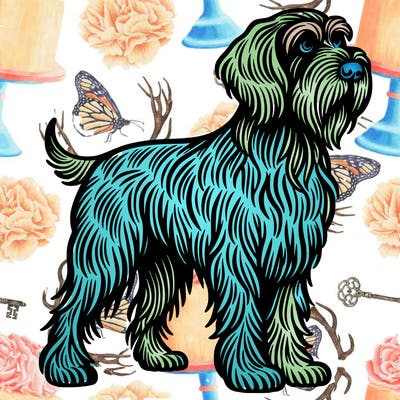 wirehaired pointing griffon dog