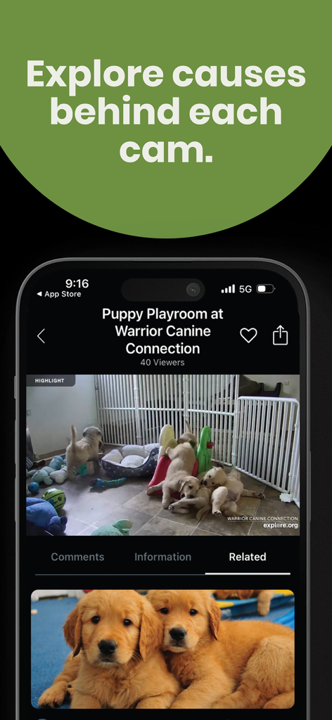 Explore.org: Live Animal Cams - Explore.org app interface showing a live puppy cam and philanthropic cause details.