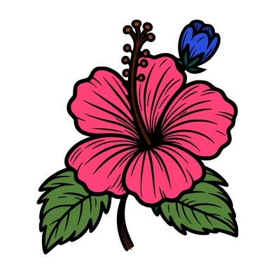 hibiscus flower