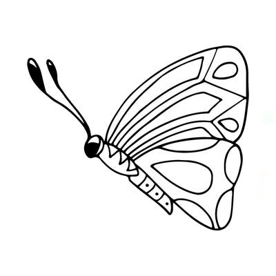 animals_02