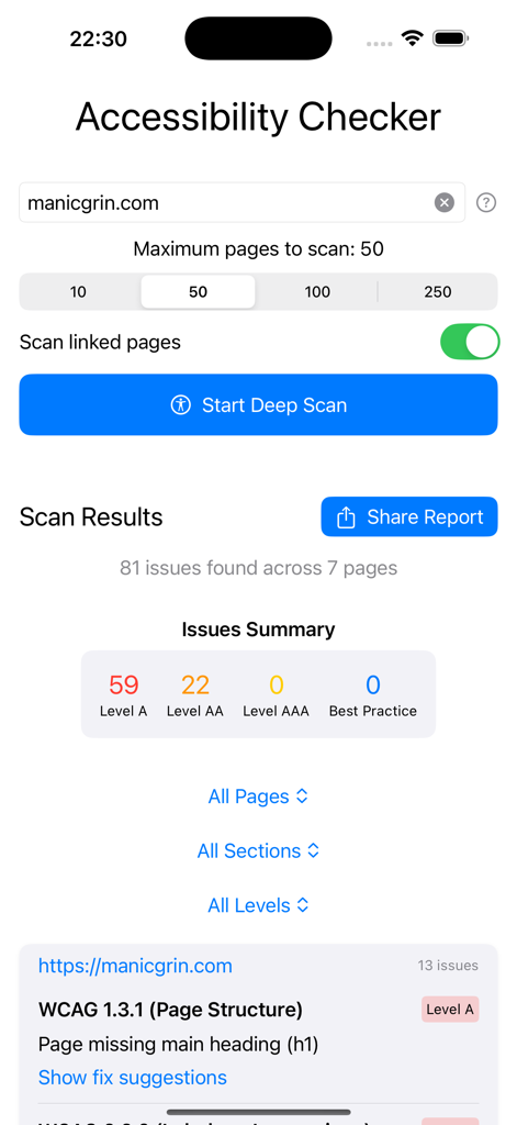 Interface of the Accessibility Checker app displaying a website scan summary with WCAG level A and AA issues and specific page structure errors.