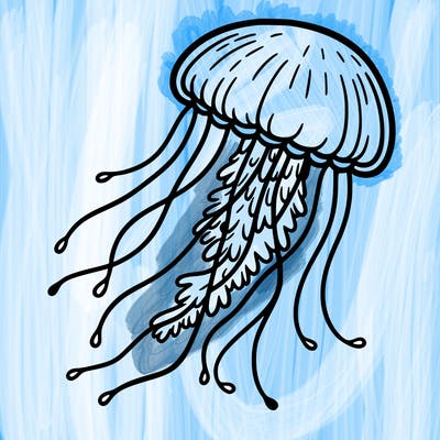 jellyfish