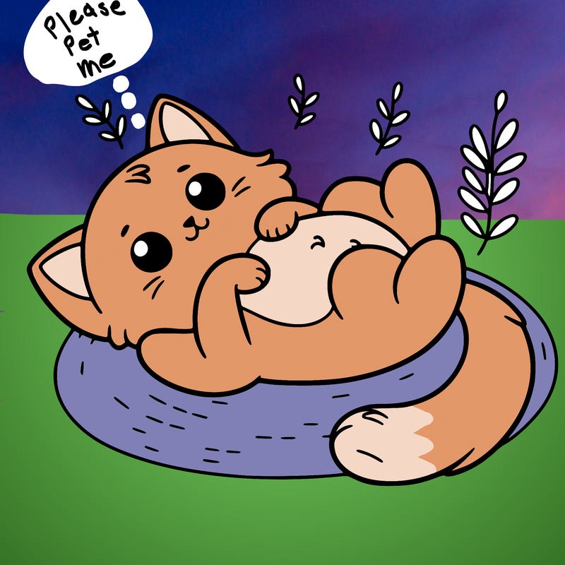 cute cat laying on back