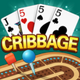 Cribbage - Card Game