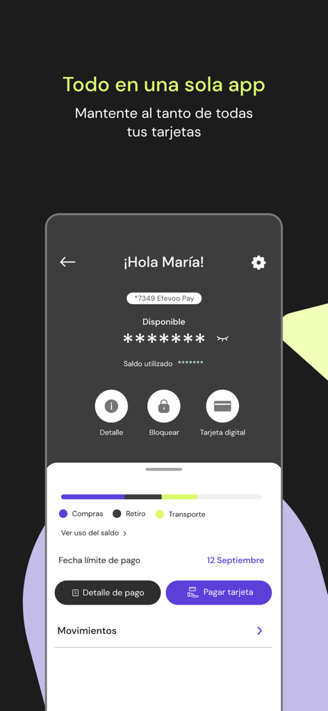 Efevoo Pay - Efevoo Pay mobile app dashboard showing account balance and spending categories