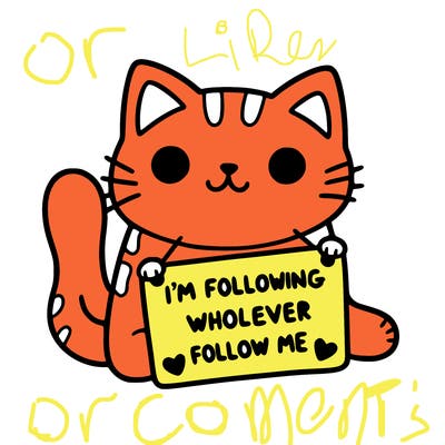 cat with a sign that says i’m following whoever follows me
