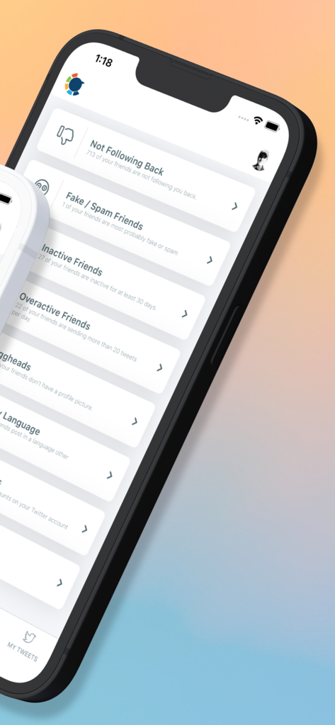 Dashboard view of Circleboom for Twitter showing follower categories like inactive and fake accounts.