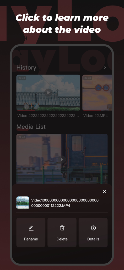 PlayLoad-Convenient Import - Mobile Oberfläche der PlayLoad App, die den Videoverlauf und Optionen zum Umbenennen oder Löschen von Dateien anzeigt