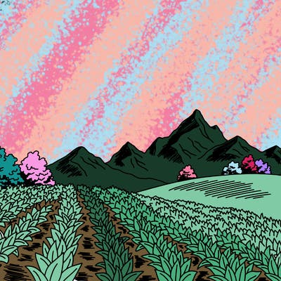 places_08