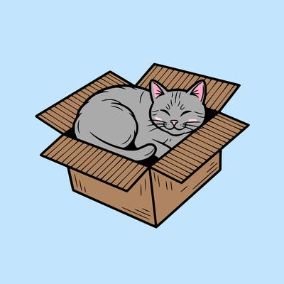 cat in box