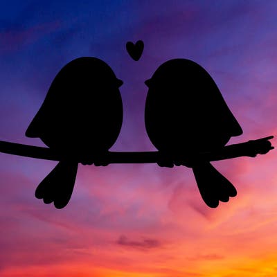 two birds on a wire