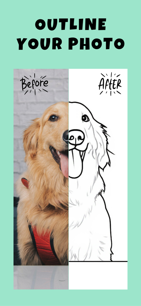 Petdraw: Pet Photo Art Editor - Confronto che mostra una foto di un animale domestico trasformata in un disegno a linea bianco e nero